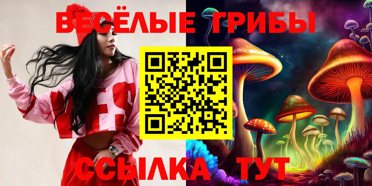 Владикавказ  Галлюциногенные грибы прущие грибы  Вход с VPN  Галлюциногенные грибы мицелий 